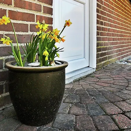 Two-bedroom Holiday In Ulfborg 3