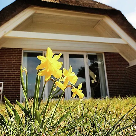 Two-bedroom Holiday In Ulfborg 3 Feriehus